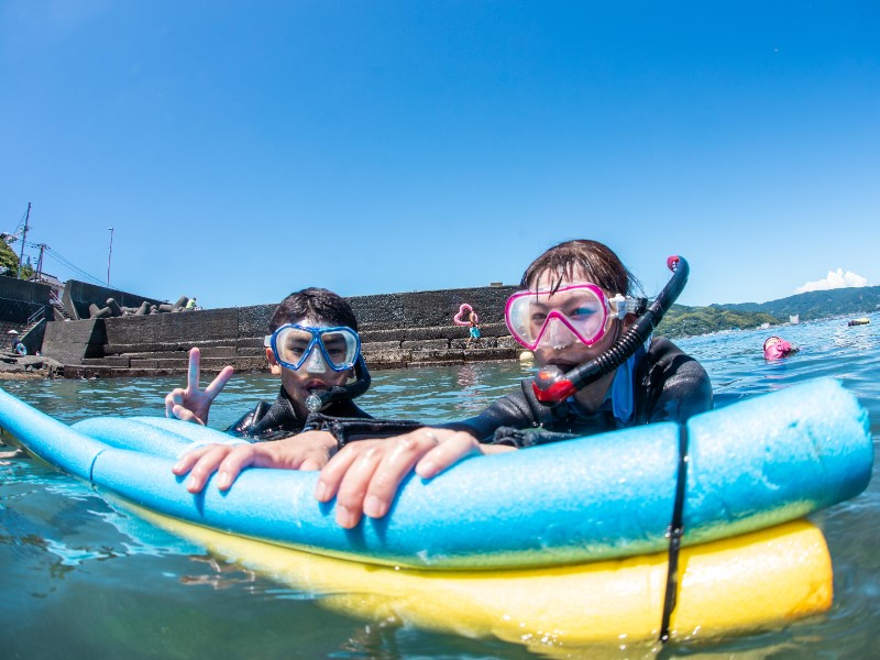 （画像提供：水中写真家 三宅健史）