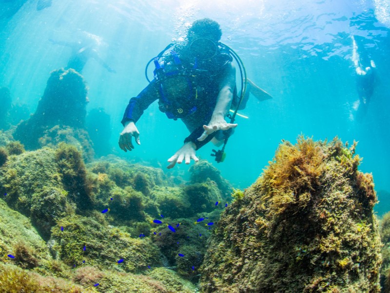 （画像提供：水中写真家 三宅健史）