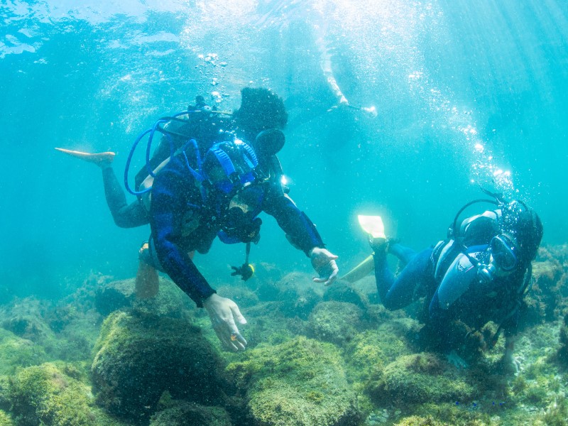 （画像提供：水中写真家 三宅健史）