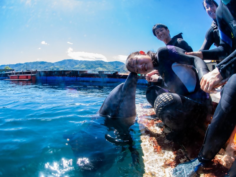 （画像提供：水中写真家 三宅健史）