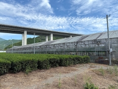 マンドウファームのハウス