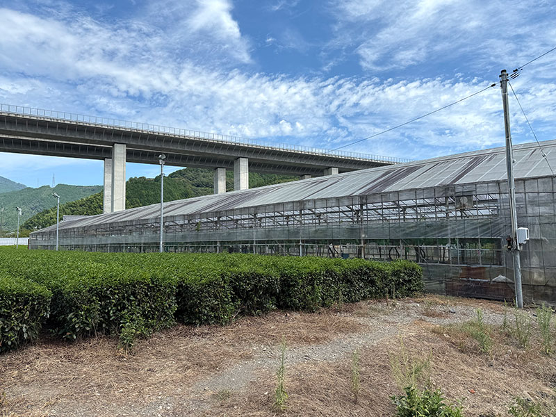 マンドウファームのハウス