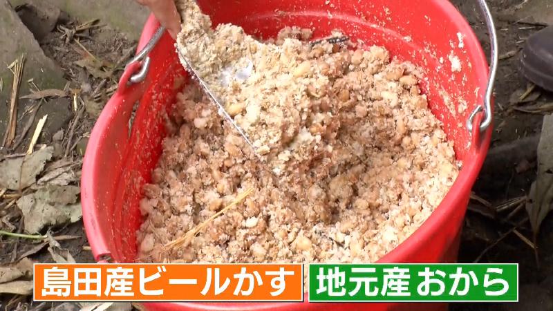 島田産のビールかすと地元産のおからを混ぜたエサ