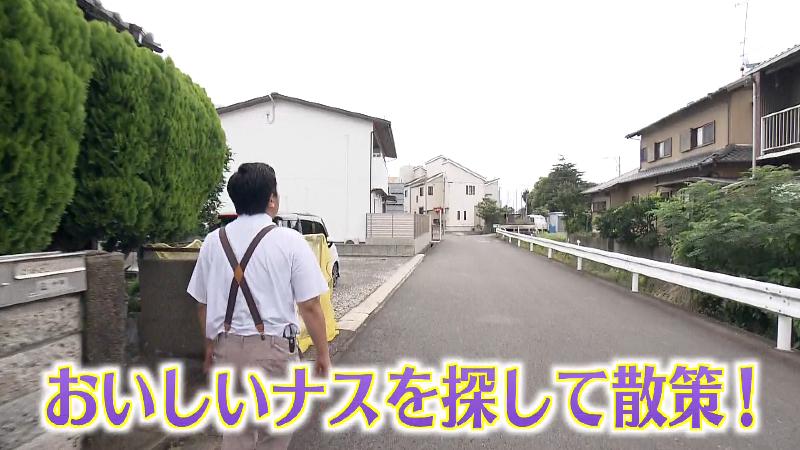 茄子町をナスを探して散策