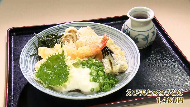 えび天とろろうどん(1480円)