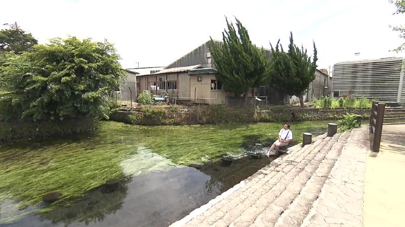 田宿川(富士市)