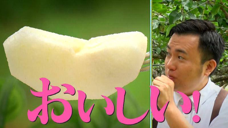 ナシを食べるにむらリポーター