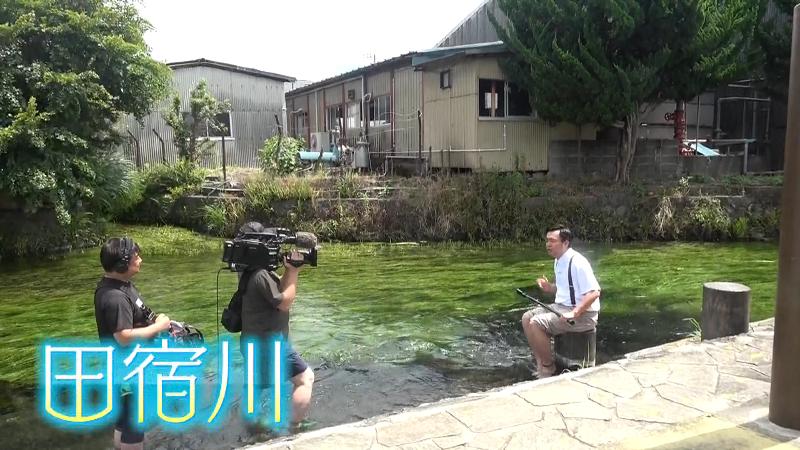 田宿川で水に入るにむらリポーター