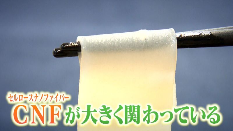 富士山うららの平麺「富士山ひららにはCNFが使われている」