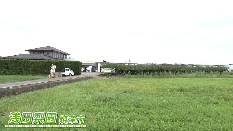 浅田梨園の外観