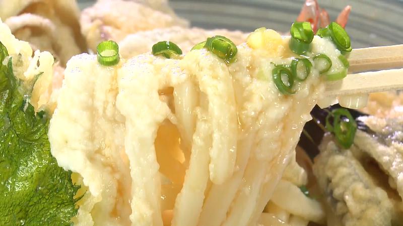 えび天とろろうどん