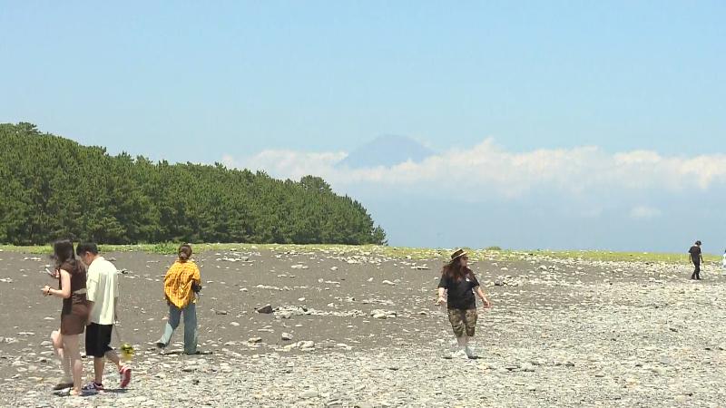 海岸から見える松林と富士山の景色