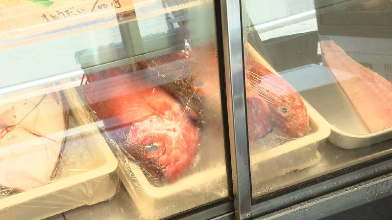 駿河湾で獲れた鮮魚