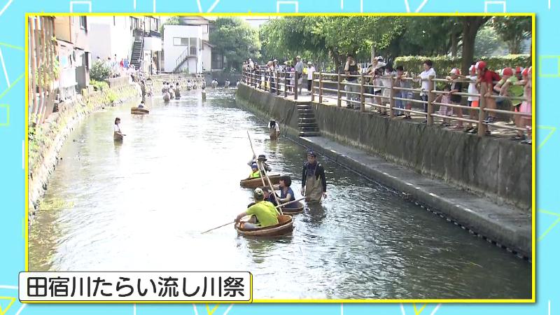 田宿川たらい流し川祭