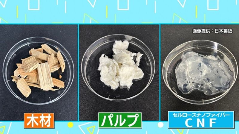 CNFの原料となる木材やパルプ