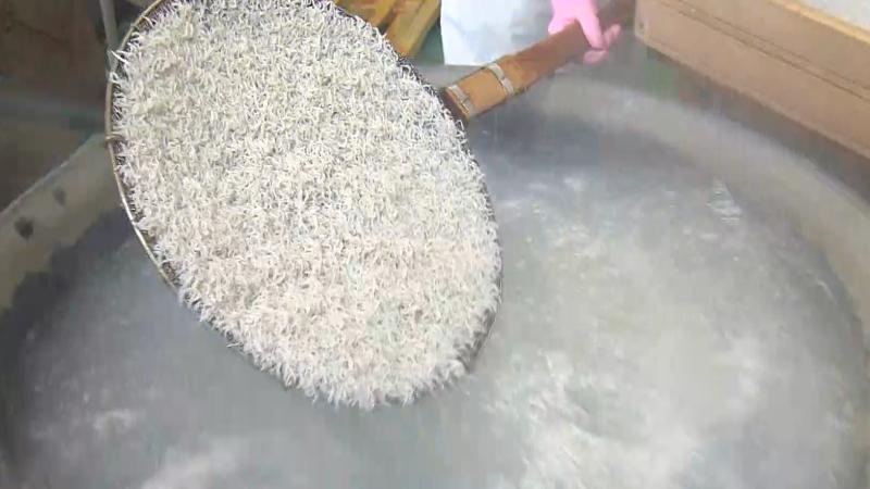 新鮮なシラスを釜揚げに