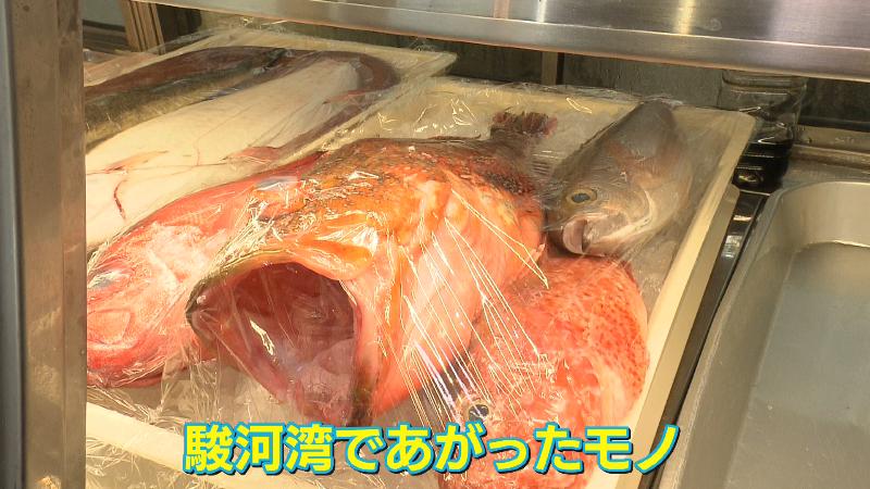 駿河湾で獲れた鮮魚