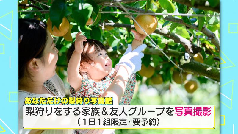 浅田さんが撮影したナシ狩りの写真