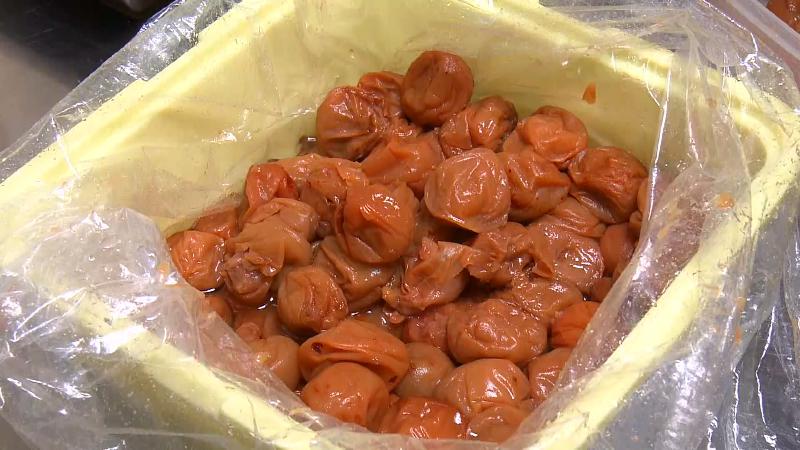 蔵元から仕入れた紀州の南高梅