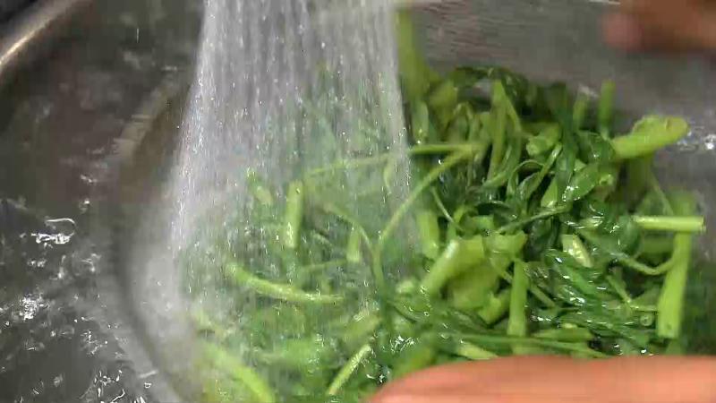 空心菜を氷水にさらしている