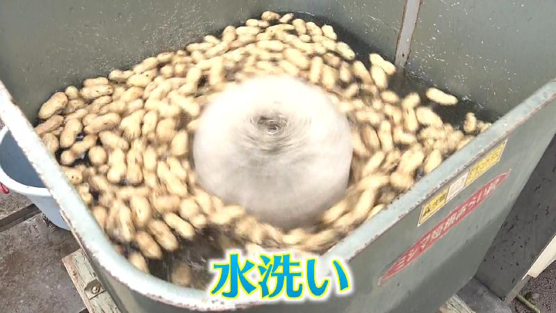 落花生の水洗い