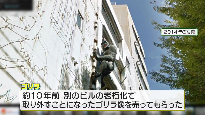 2014年のゴリラの写真