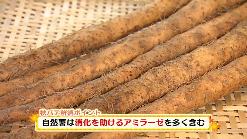 自然薯「消化を助けるアミラーゼを多く含む」