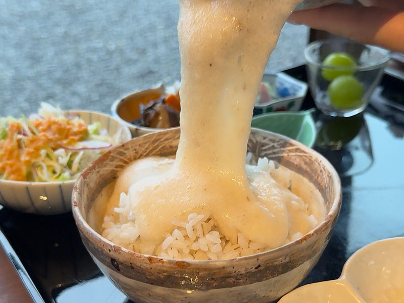 とろろご飯