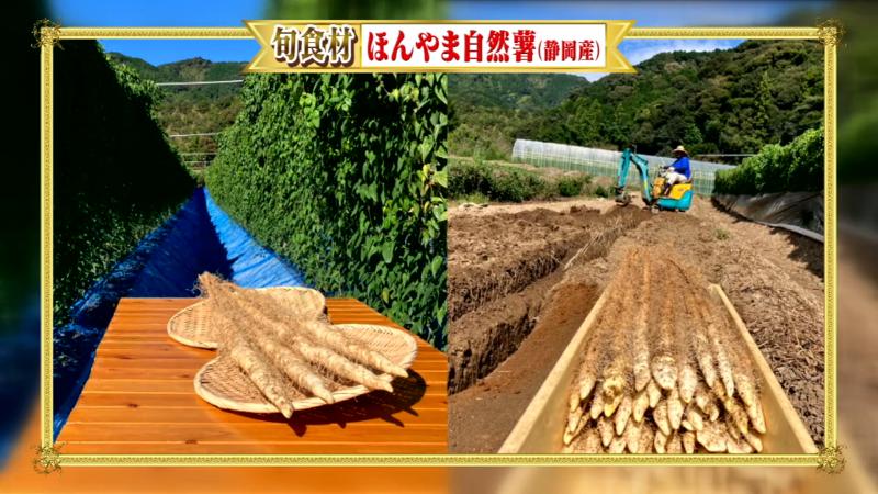 ほんやま自然薯と畑