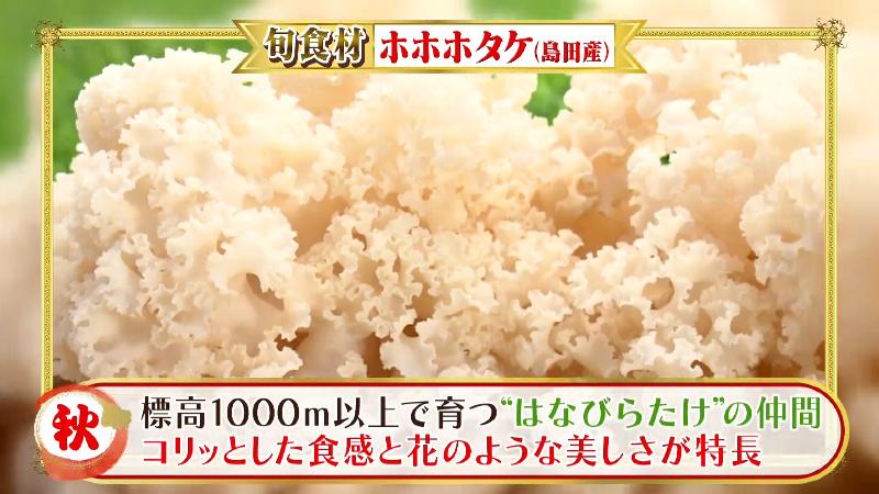 島田市産のホホホタケ