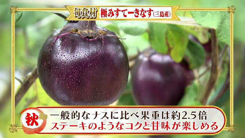 極みすてーきなす