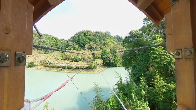 野猿からの眺め