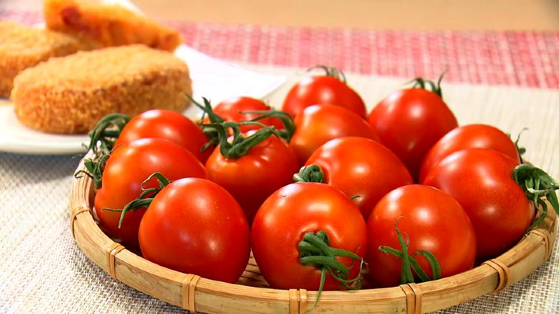 枝完熟マキノハニー