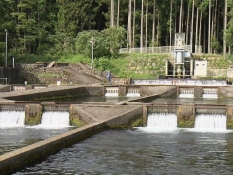 豊富な湧水が流れ込む養殖池