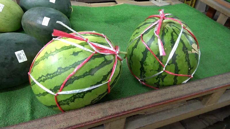 大玉のスイカ