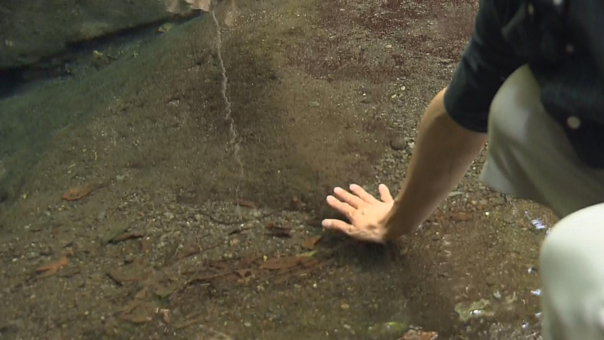 お鬢水に手を浸す