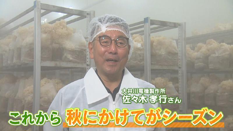 大井川電機製作所・佐々木孝行さん