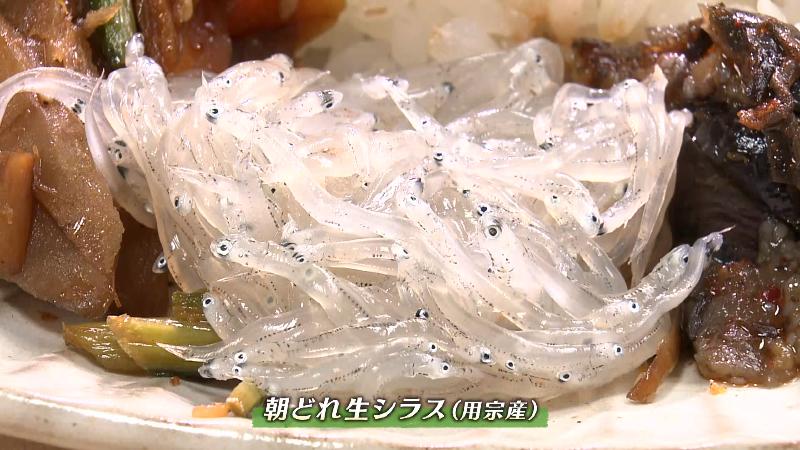 用宗産 朝どれの生シラス
