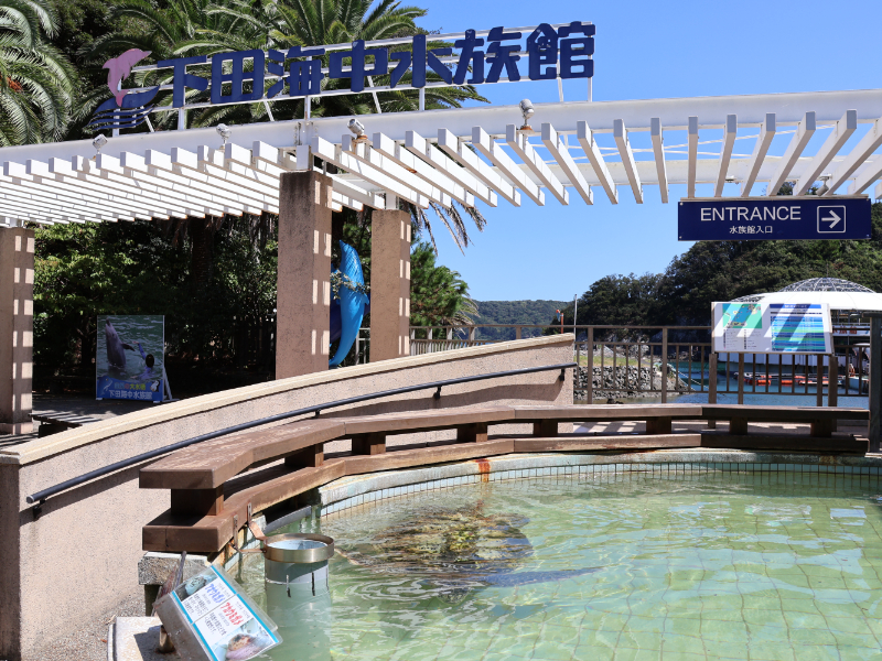 下田海中水族館の入口