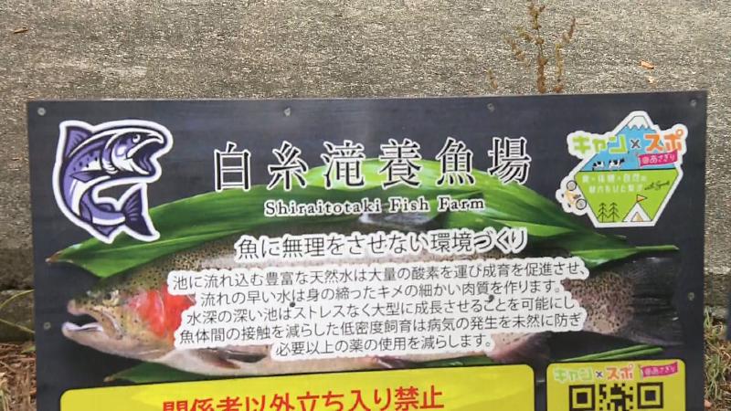 白糸滝養鱒場の看板