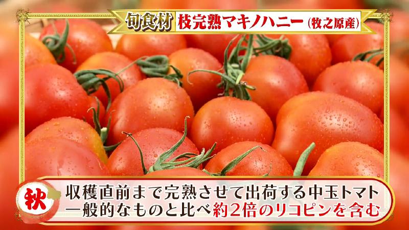 枝完熟マキノハニー