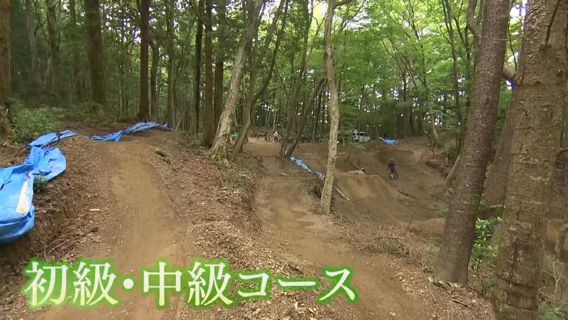 初級・中級コース