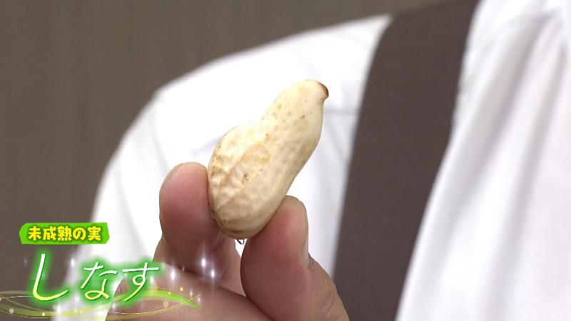 未成熟の実「しなす」