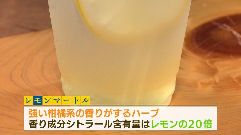 強い柑橘系の香りがするハーブ「レモンマートル」が入っている