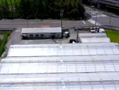 トマトップの農園空撮