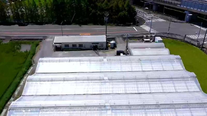 トマトップの農園空撮