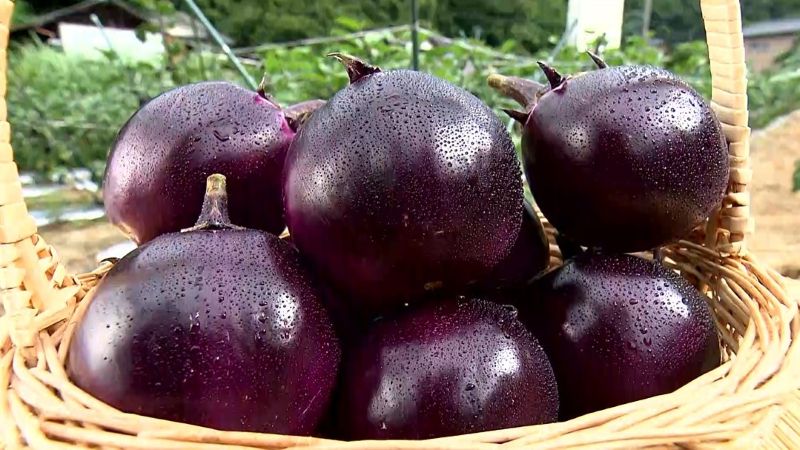 極みすてーきなす