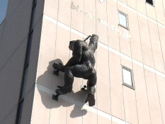 壁を登るゴリラ