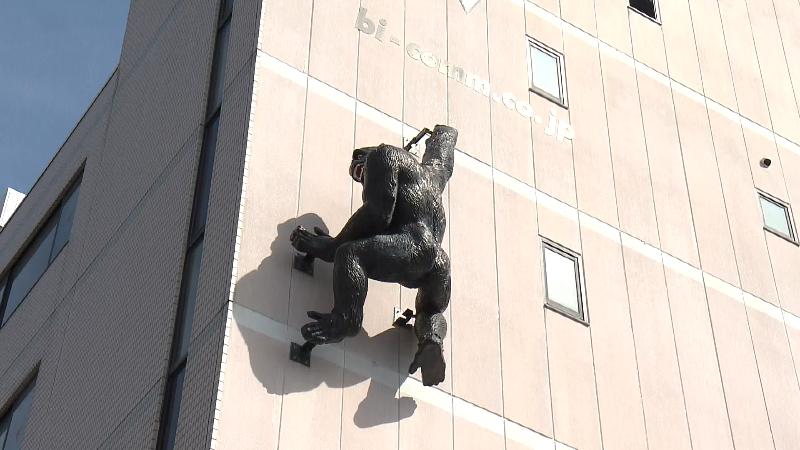 壁を登るゴリラ