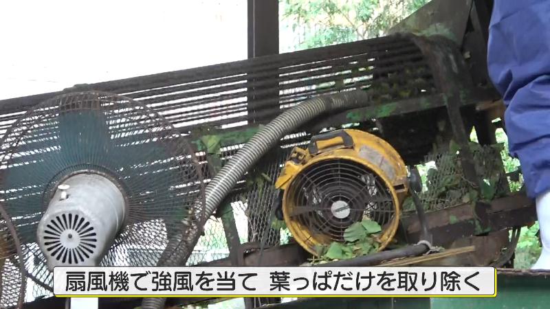 風を当ててはっぱを飛ばす